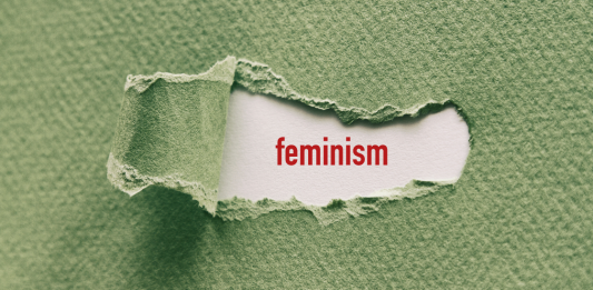 feminism vs humanism