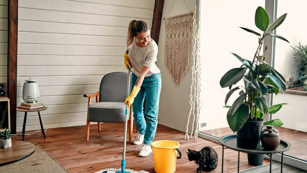 What is the fly lady cleaning method?